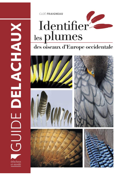 Identifier les plumes des oiseaux d'Europe occidentale