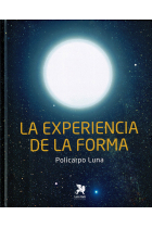 La experiencia de la forma