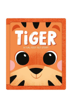 TIGER A FUN,FEELY FELT STORY