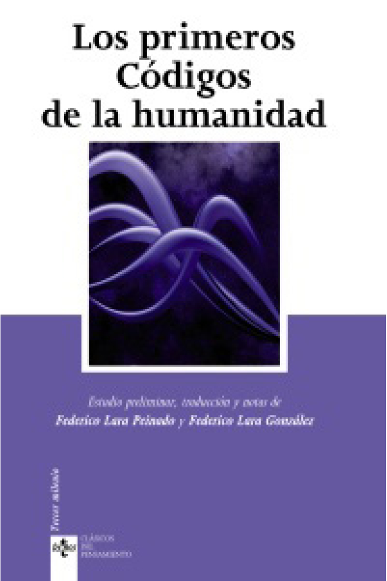 Los primeros códigos de la Humanidad