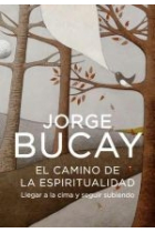 El camino de la espiritualidad. Llegar a la cima y seguir subiendo