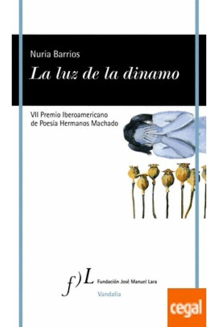 La luz de la dinamo. VII Premio iberoamericano de poesía hermanos Machado