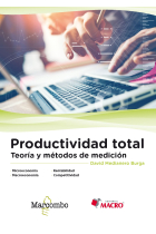 Productividad total. Teoría y métodos de medición