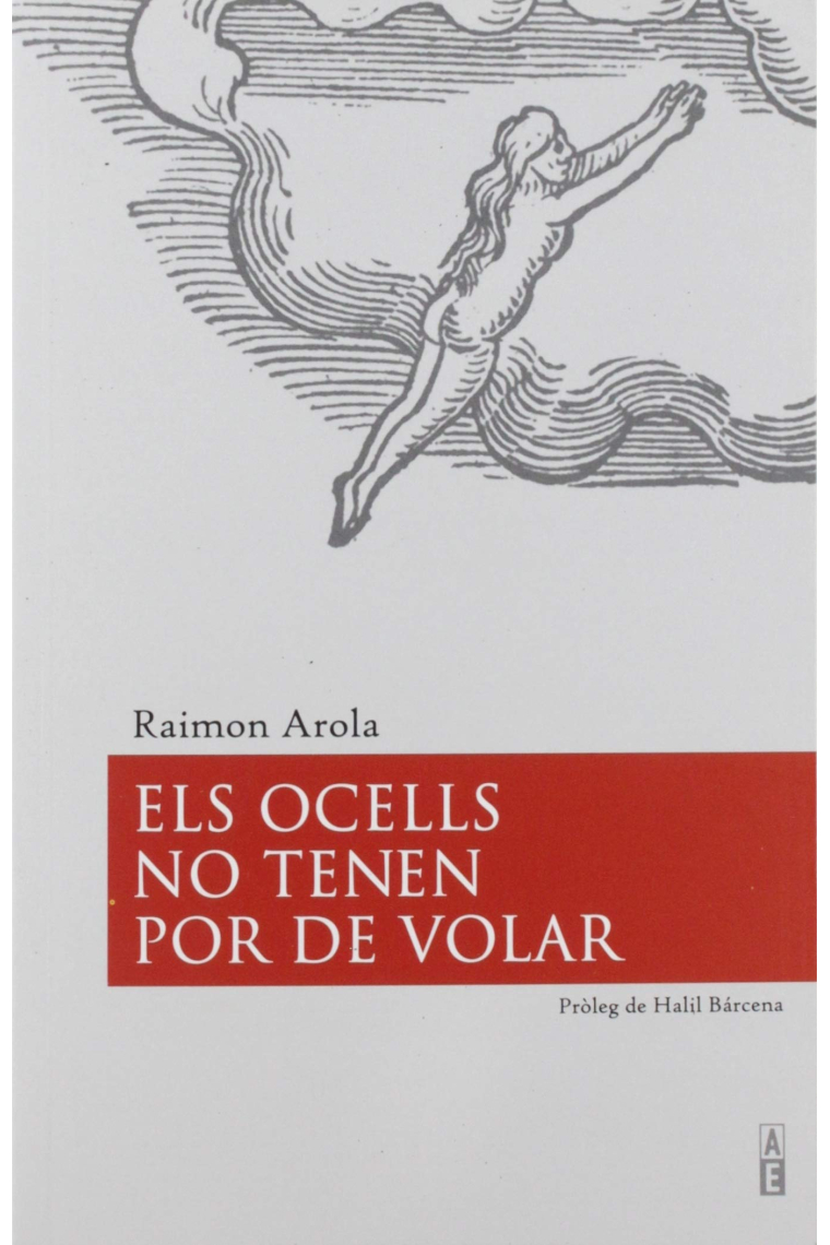 Els ocells no tenen por de volar