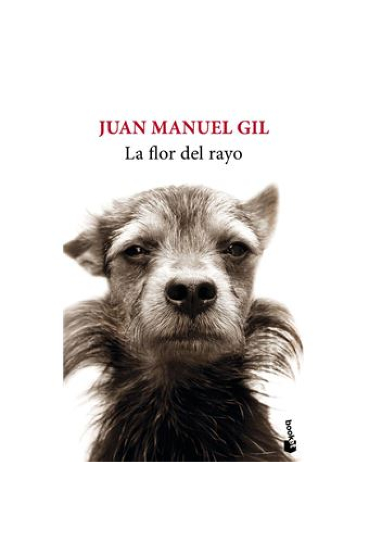 La flor del rayo