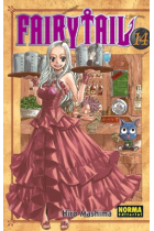 Fairy Tail 14