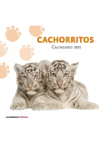 Calendario cachorritos 2015