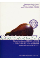 Ejercicios de álgebra lineal y cálculo en una variable