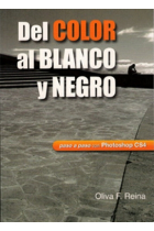 Del color al blanco y negro