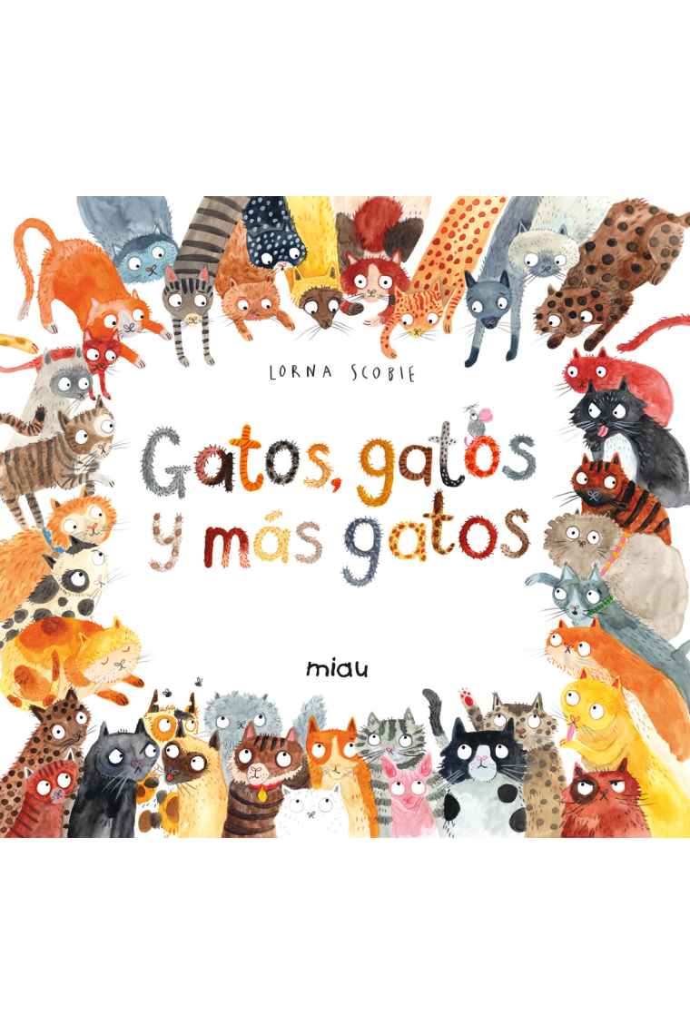 Gatos, gatos y más gatos