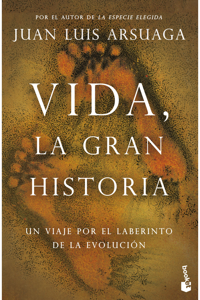 Vida, la gran historia. Un viaje por el laberinto de la evolución