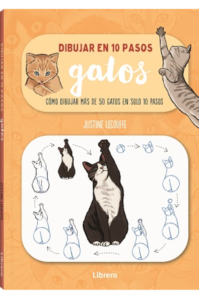 Dibujar gatos en 10 pasos. Cómo dibujar 75 gatos en solo 10 pasos