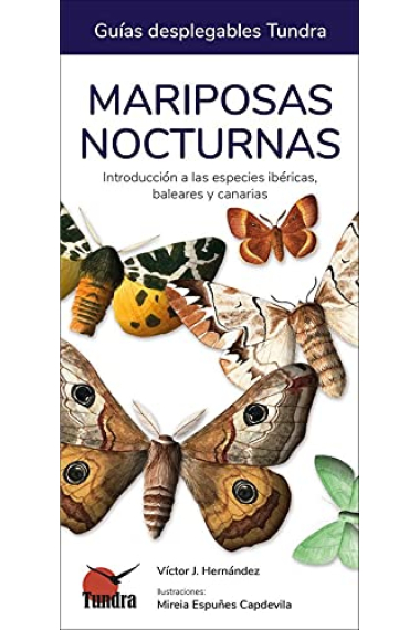 Mariposas nocturnas. Introducción a las especies ibéricas, baleares y Canarias