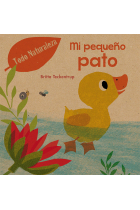 Mi pequeño pato