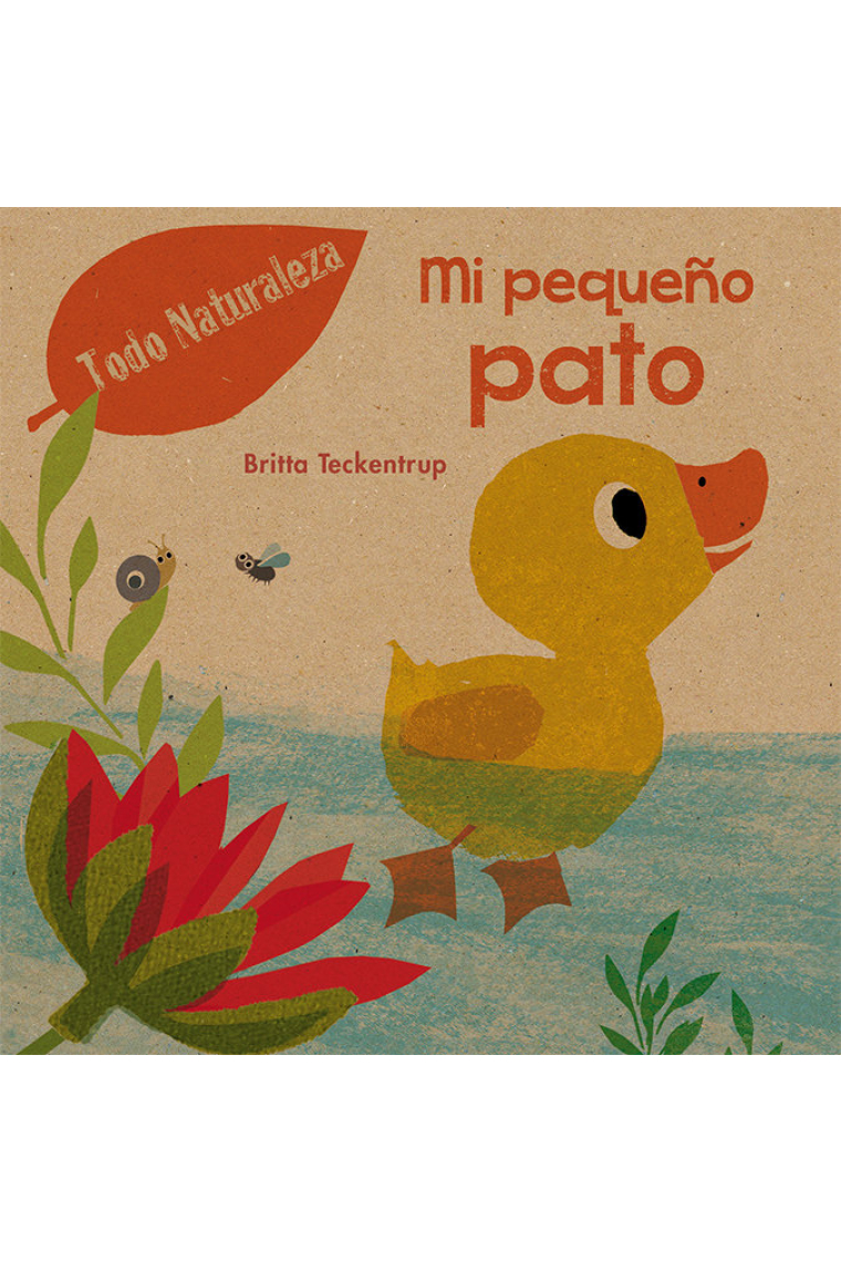 Mi pequeño pato