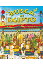 Busca en Egipto