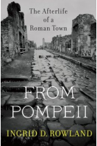 From Pompeii: the afterlife of a roman  town