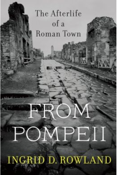 From Pompeii: the afterlife of a roman  town