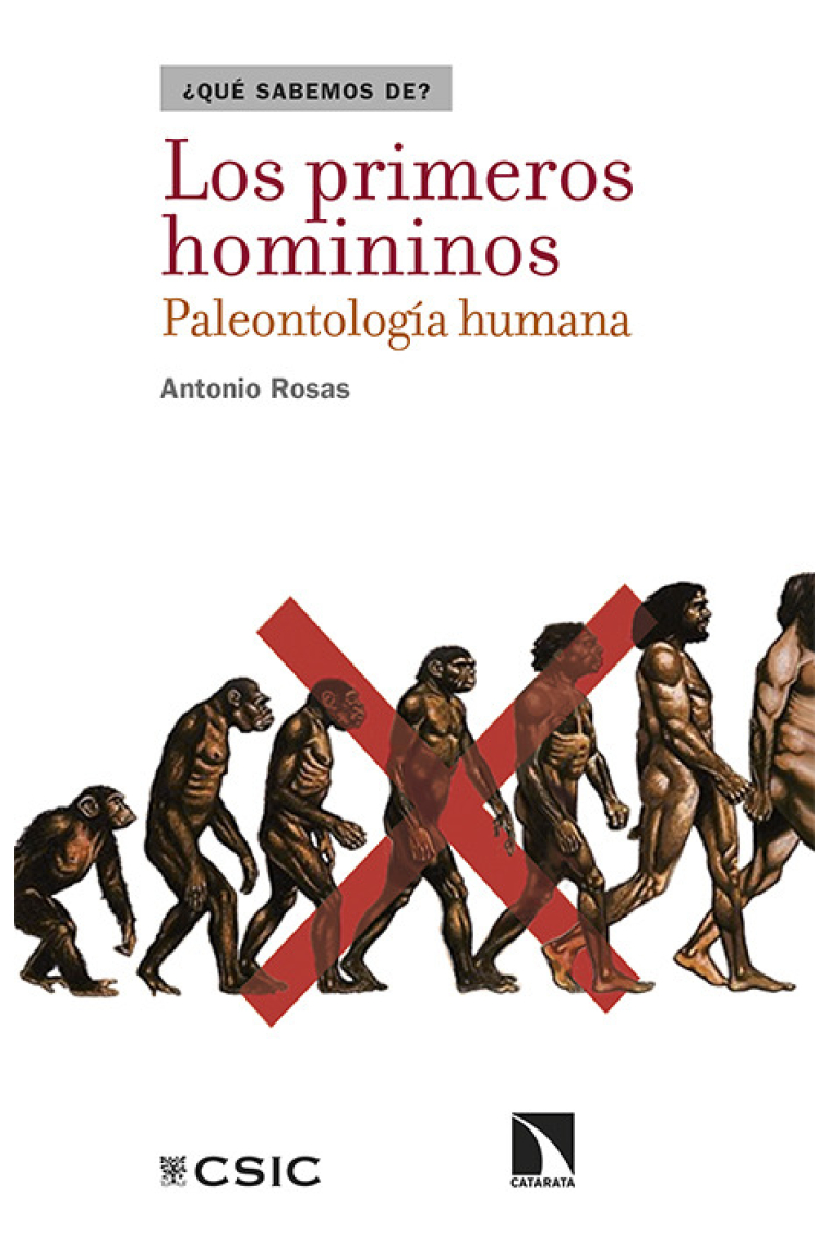 Los primeros homininos. Paleontología humana