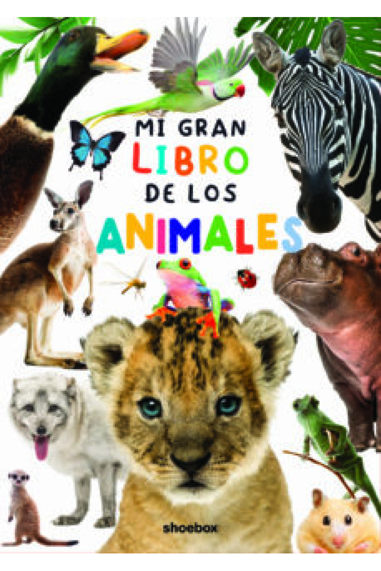 Mi gran libro de los  animales