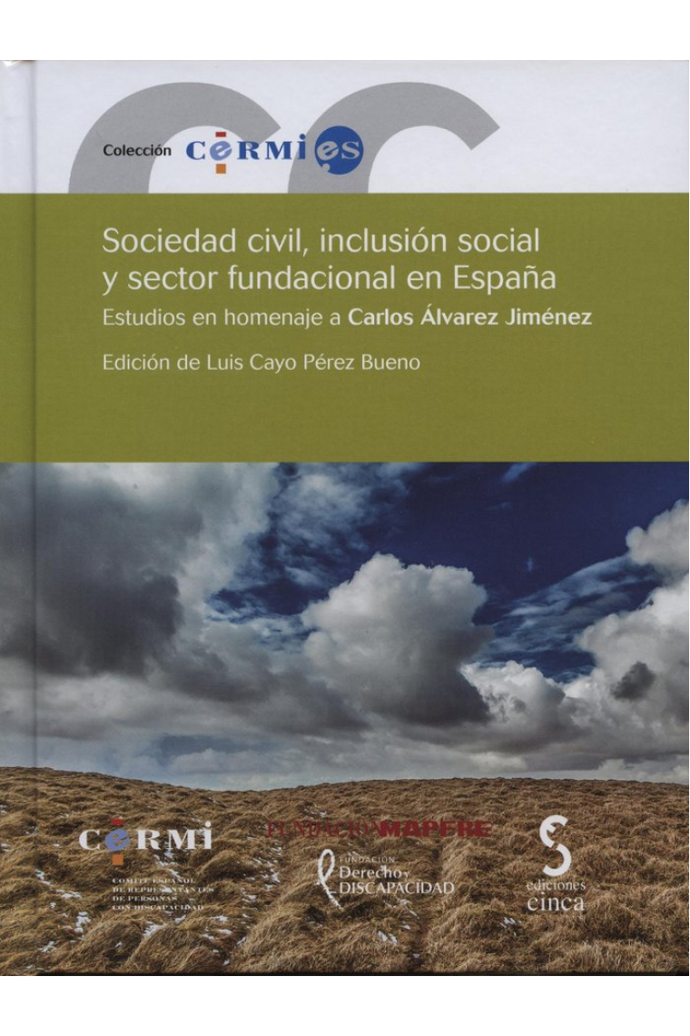 Sociedad civil, inclusión social y sector fundacional en España