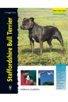 Staffordshire Bull Terrier