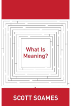 What is meaning?