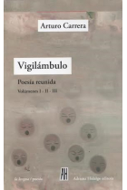 Vigilámbulo