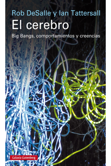 El cerebro. Bing Bangs, comportamientos y creencias