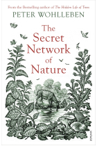 The Secret Network Of Nature