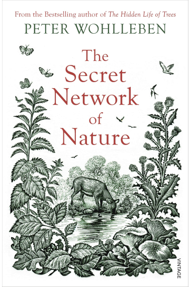 The Secret Network Of Nature