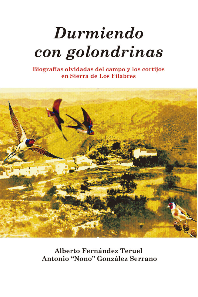 DURMIENDO CON GOLONDRINAS