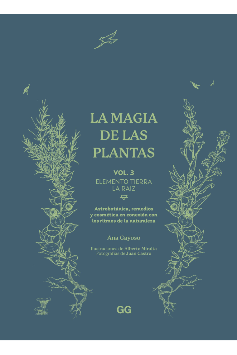 La magia de las plantas. Vol. 3. Elemento Tierra. La raíz