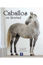 Caballos en libertad