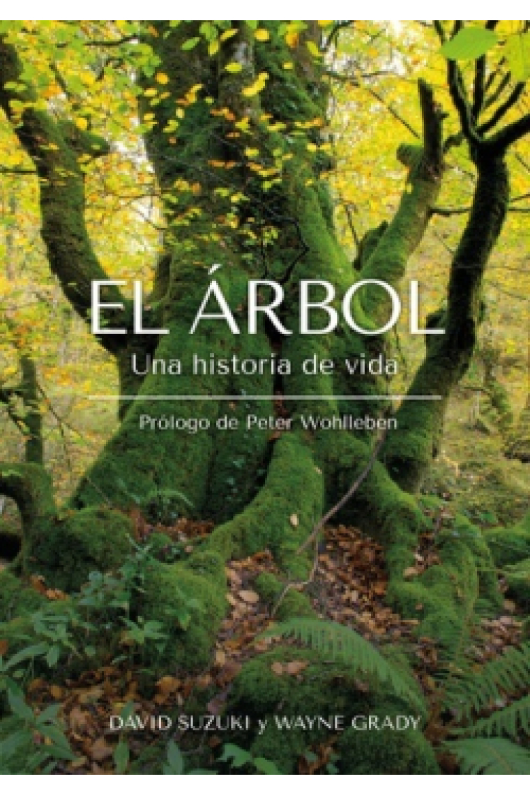 El Árbol. Una historia de vida