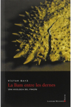 La llum entre les dernes: una axiologia del fracàs