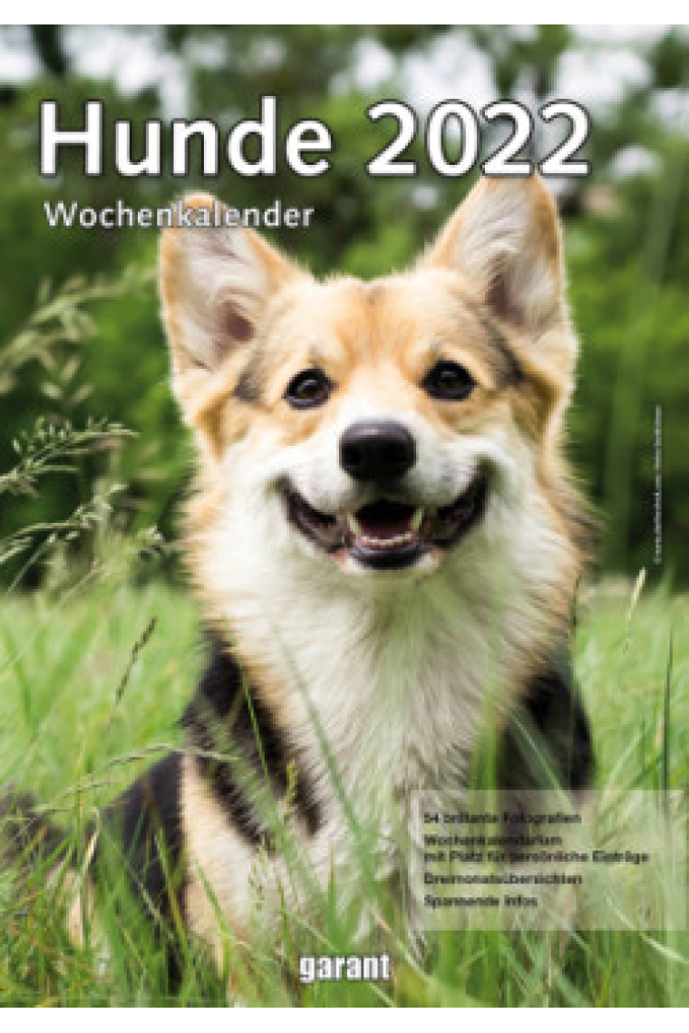 Hunde 2022 Wochenkalender