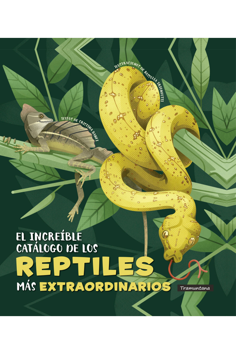 El increíble catálogo de los reptiles más extraordinarios