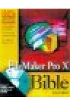 FileMaker Pro 4 bible