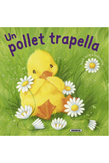 Un pollet trapella