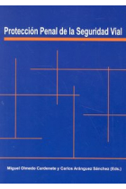 PROTECCION PENAL DE LA SEGURIDAD VIAL