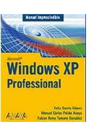 Windows XP professional