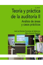 Teoría y práctica de la auditoría II