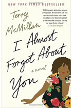 I Almost Forgot About You: A Novel