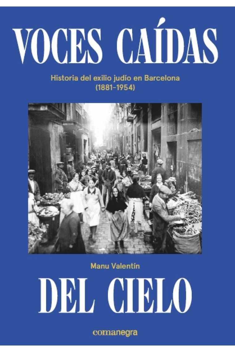 Voces caídas del cielo. Historia del exilio judío en Barcelona (1881-1954)