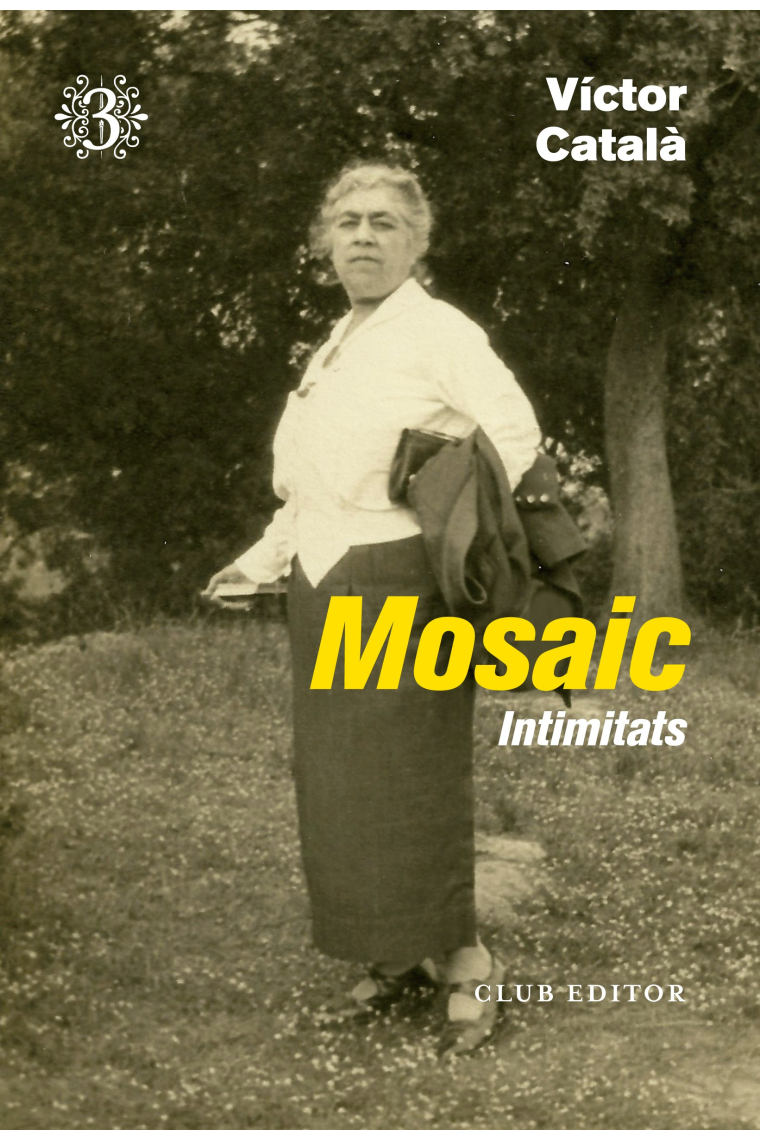 Mosaic 3. Intimitats