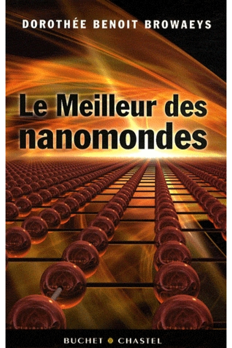 Le meilleur des nanomondes