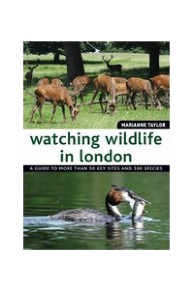 Watching Wildlife in london