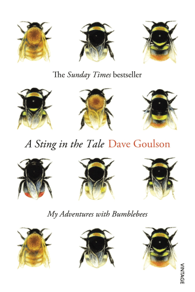 A Sting in the Tale: My Adventures with Bumblebees