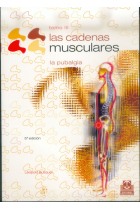 Lascadenas musculares, tomo III. La pubalgia